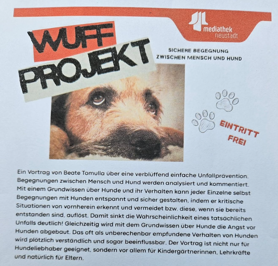 Bildschirmfoto 2025-11-25 um 20.23.13