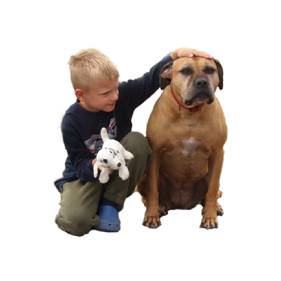 WUFF-Projekt Eichstätt: Unfallprävention und Sicherheitstraining für Kinder und Hunde