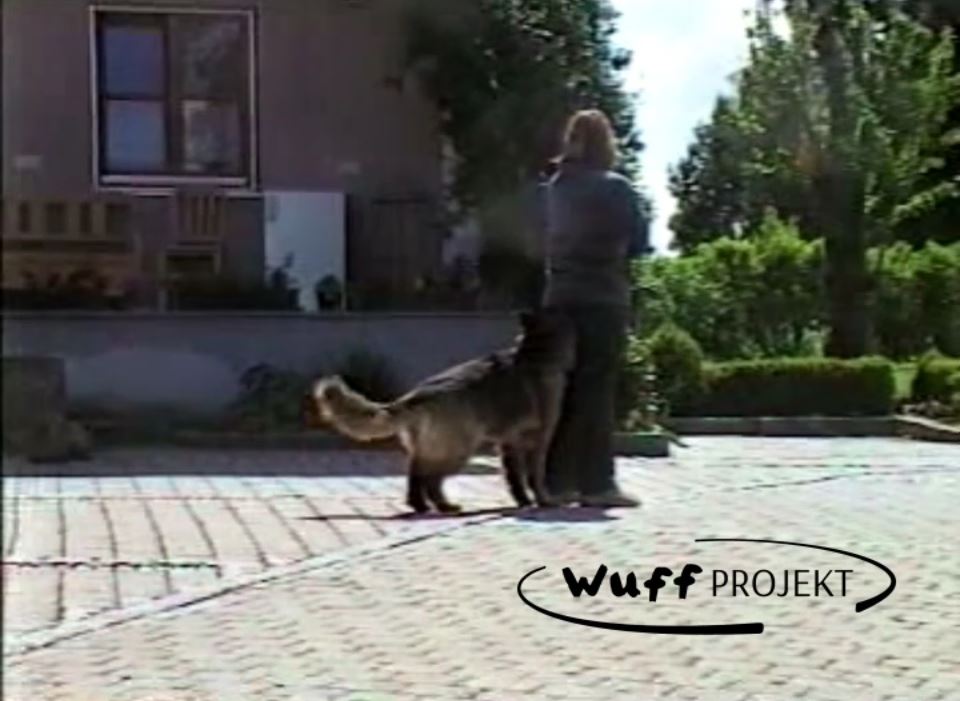 WUFF-Schulfilm – Bild 15