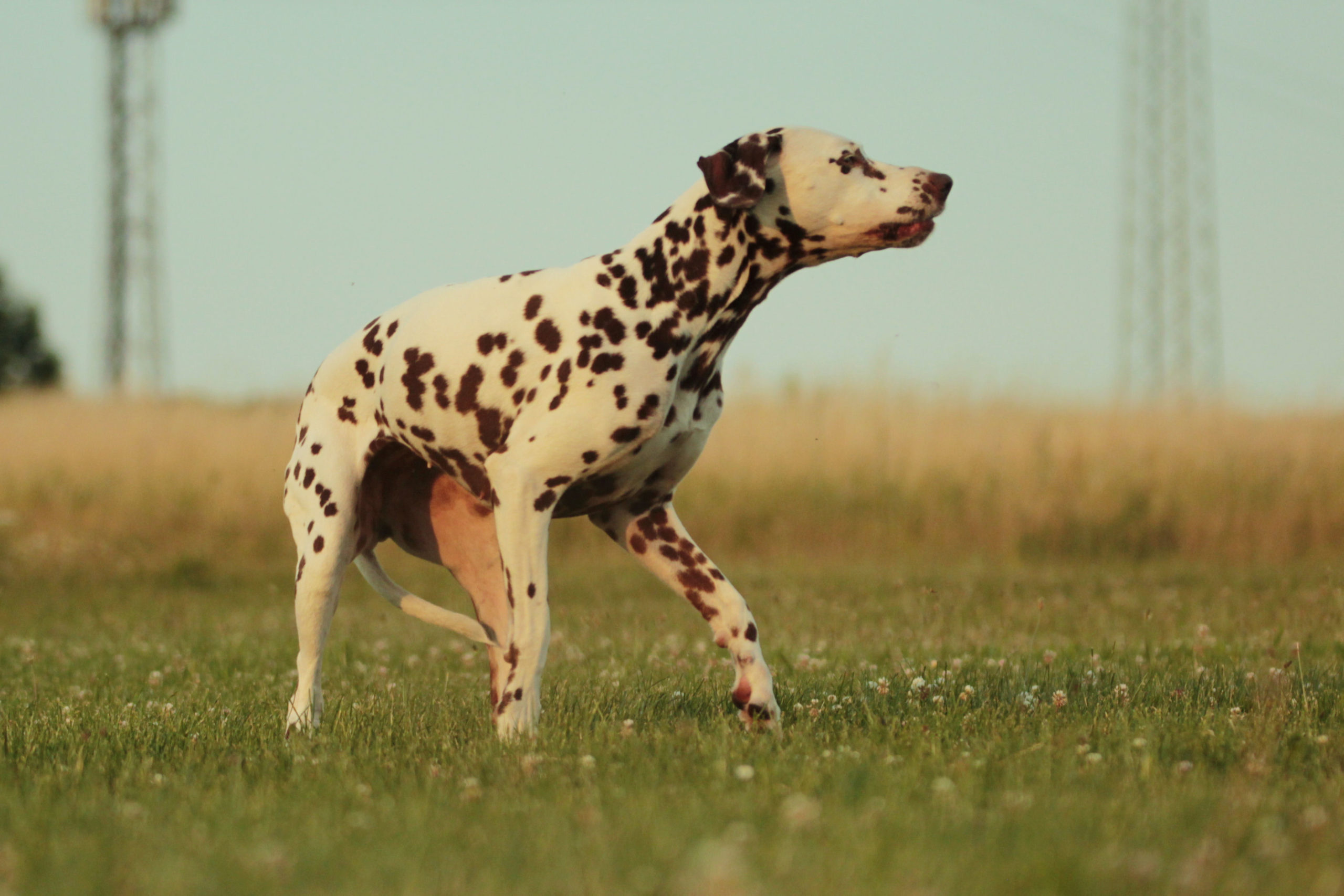 WUFF-Schulfilm – Bild 12