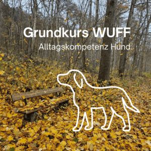 Grundkurs WUFF – Alltagskompetenz Hund [Digital]